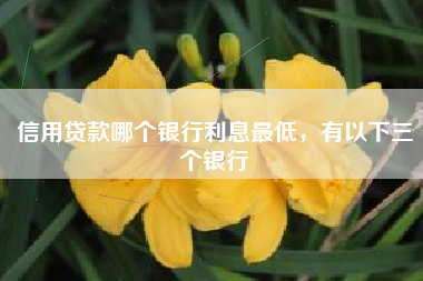 信用贷款哪个银行利息最低，有以下三个银行