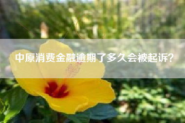 中原消费金融逾期了多久会被起诉？
