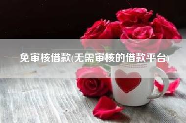 免审核借款(无需审核的借款平台)