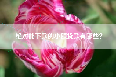 绝对能下款的小额贷款有哪些？