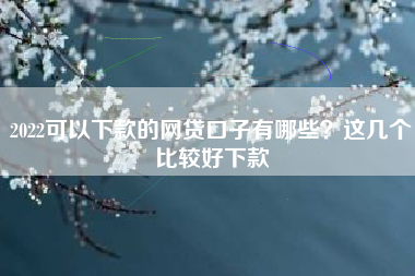 2022可以下款的网贷口子有哪些？这几个比较好下款