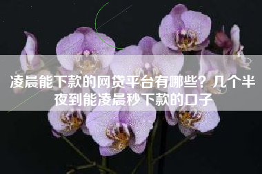 凌晨能下款的网贷平台有哪些？几个半夜到能凌晨秒下款的口子