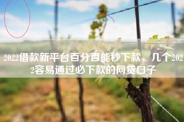 2022借款新平台百分百能秒下款，几个2022容易通过必下款的网贷口子