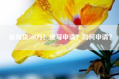 最高贷500万！谁可申请？如何申请？