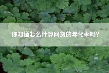 你知道怎么计算网贷的年化率吗？