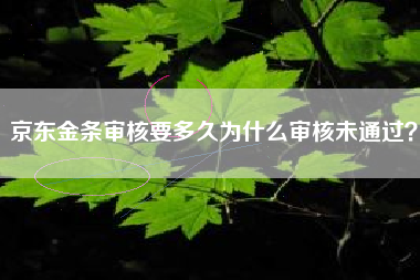 京东金条审核要多久为什么审核未通过？