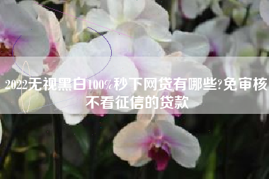 2022无视黑白100%秒下网贷有哪些?免审核不看征信的贷款