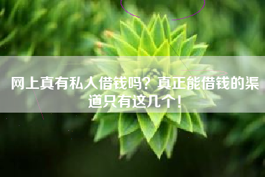 网上真有私人借钱吗？真正能借钱的渠道只有这几个！