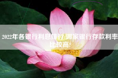 2022年各银行利息排行 哪家银行存款利率比较高?