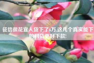 征信很花宜人贷下了6万,这几个真实能下的网贷更好下款!