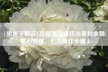 {黑匣子解说}花呗怎么借钱出来到余额(精心整理，七大操作步骤）