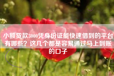 小额贷款3000凭身份证能快速借到的平台有哪些？这几个都是容易通过马上到账的口子