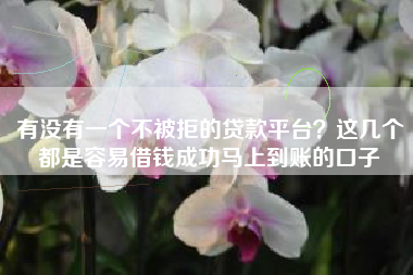 有没有一个不被拒的贷款平台？这几个都是容易借钱成功马上到账的口子