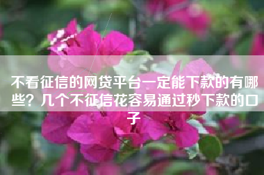 不看征信的网贷平台一定能下款的有哪些？几个不征信花容易通过秒下款的口子
