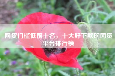 网贷门槛低前十名，十大好下款的网贷平台排行榜