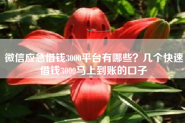 微信应急借钱3000平台有哪些？几个快速借钱3000马上到账的口子