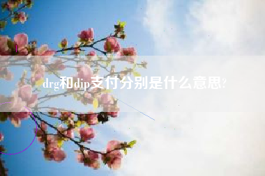 drg和dip支付分别是什么意思?
