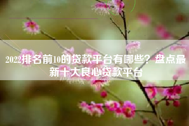 2022排名前10的贷款平台有哪些？盘点最新十大良心贷款平台