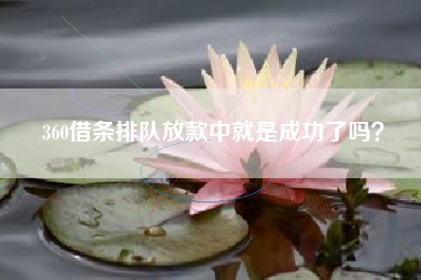 360借条排队放款中就是成功了吗？
