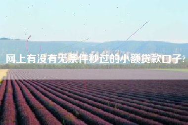 网上有没有无条件秒过的小额贷款口子?