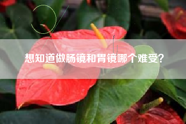 想知道做肠镜和胃镜哪个难受？