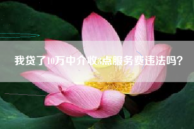 我贷了10万中介收3点服务费违法吗？