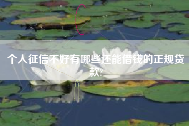 个人征信不好有哪些还能借钱的正规贷款?