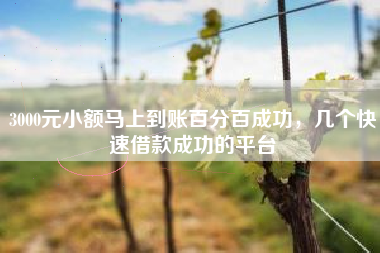 3000元小额马上到账百分百成功，几个快速借款成功的平台