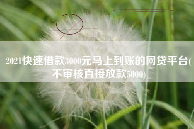 2021快速借款3000元马上到账的网贷平台(不审核直接放款5000)
