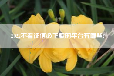 2022不看征信必下款的平台有哪些?