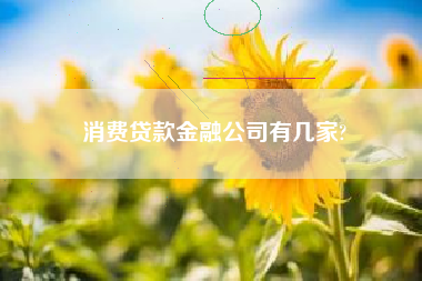 消费贷款金融公司有几家?