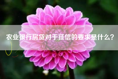 农业银行房贷对于征信的要求是什么？