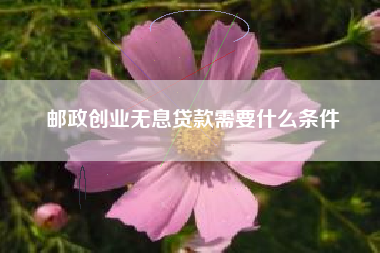 邮政创业无息贷款需要什么条件