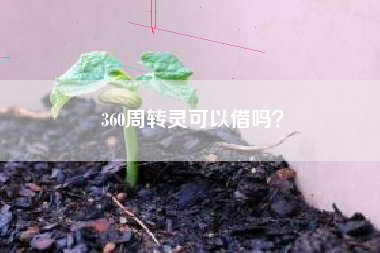 360周转灵可以借吗？