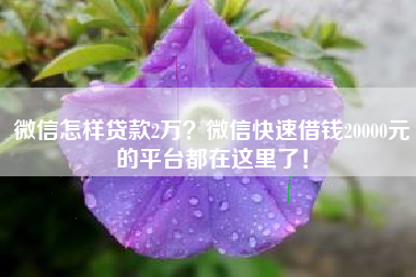 微信怎样贷款2万？微信快速借钱20000元的平台都在这里了！