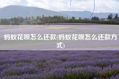 蚂蚁花呗怎么还款(蚂蚁花呗怎么还款方式)
