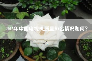 2015年中国电视机质量排名情况如何？