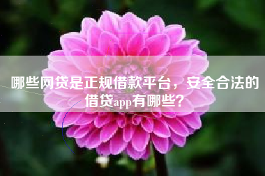 哪些网贷是正规借款平台，安全合法的借贷app有哪些？