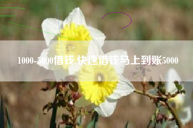 1000-5000借钱,快速借钱马上到账5000