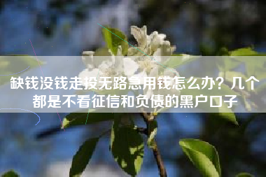 缺钱没钱走投无路急用钱怎么办？几个都是不看征信和负债的黑户口子
