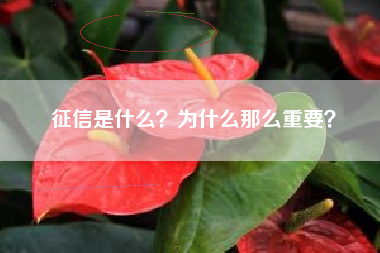 征信是什么？为什么那么重要？