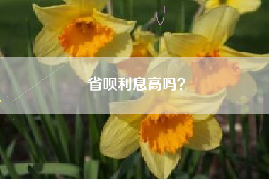 省呗利息高吗？