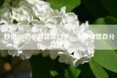 秒借300的小额贷款口子，不查征信百分百通过