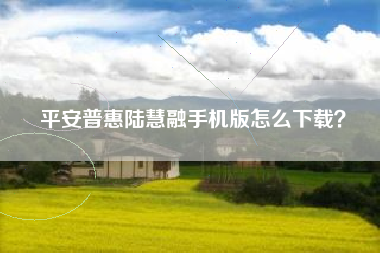 平安普惠陆慧融手机版怎么下载？