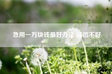 急用一万块钱最好办法 征信不好