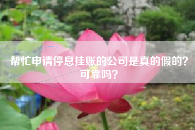 帮忙申请停息挂账的公司是真的假的？可靠吗？