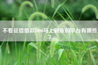 不看征信借款5000马上到账的平台有哪些？