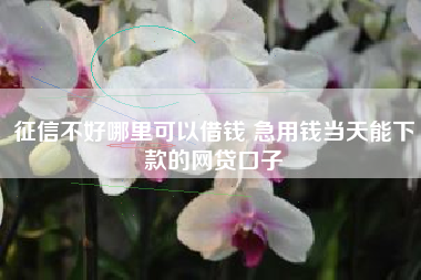 征信不好哪里可以借钱 急用钱当天能下款的网贷口子