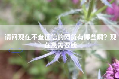 请问现在不查征信的网贷有哪些啊？现在急需要钱