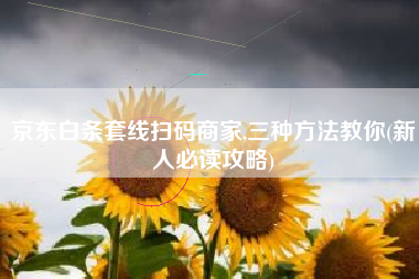 京东白条套线扫码商家,三种方法教你(新人必读攻略)